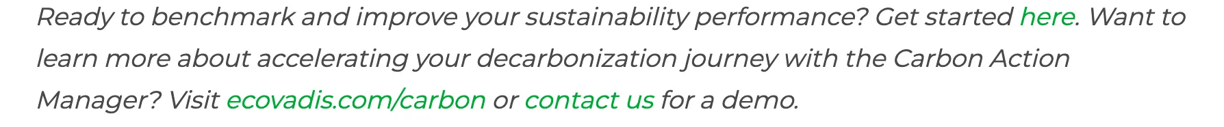 Ecovadi: Marketing strategy