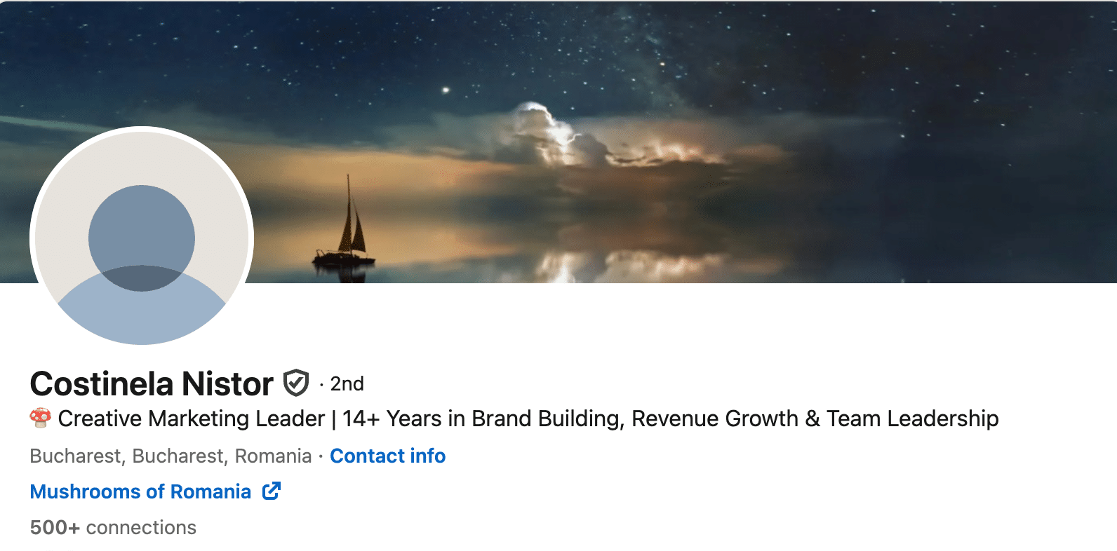 Marketing Spotlight: Mapping Zitec’s Marketing and Sales Strategies