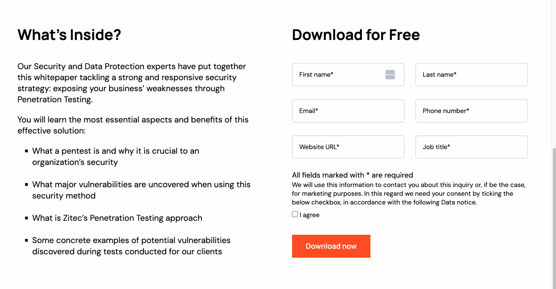 Marketing Spotlight: Mapping Zitec’s Marketing and Sales Strategies