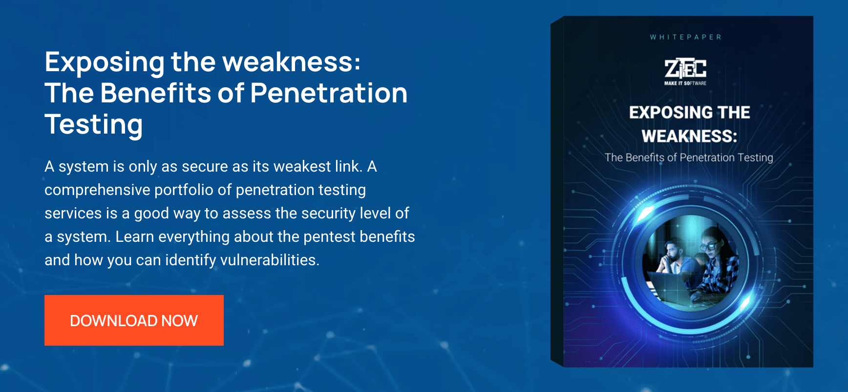 Marketing Spotlight: Mapping Zitec’s Marketing and Sales Strategies